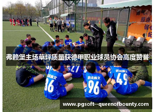 弗赖堡主场草坪质量获德甲职业球员协会高度赞誉